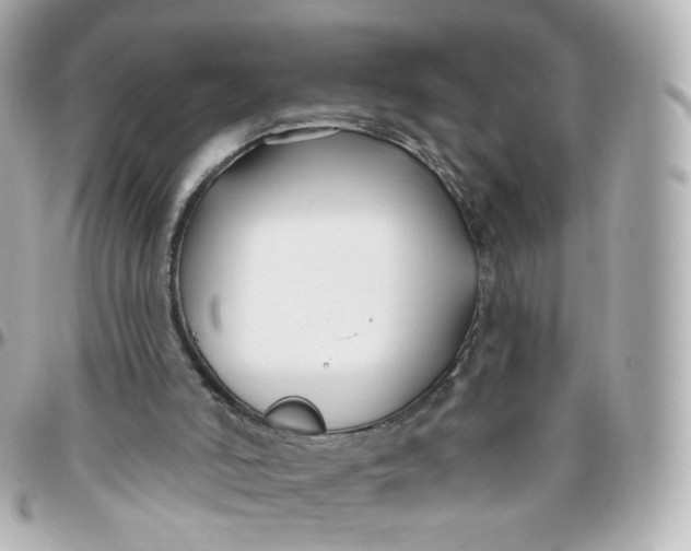 X0000095900006200802011139