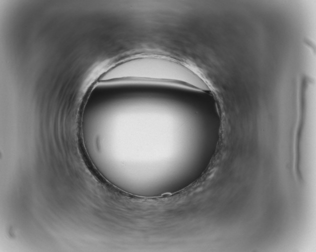 X0000095900007200802011139