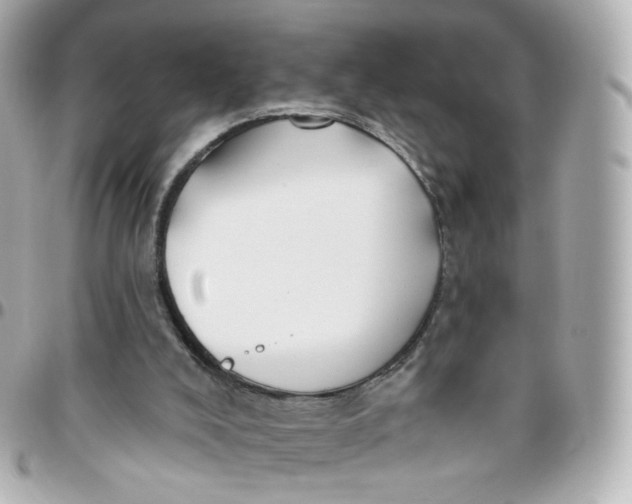 X0000095900008200802011139