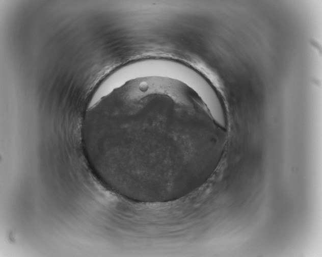 X0000095900009200802011138