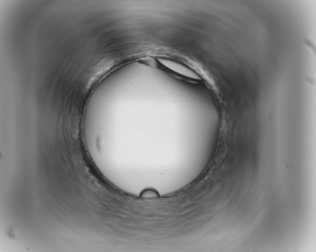 X0000095900010200802011138