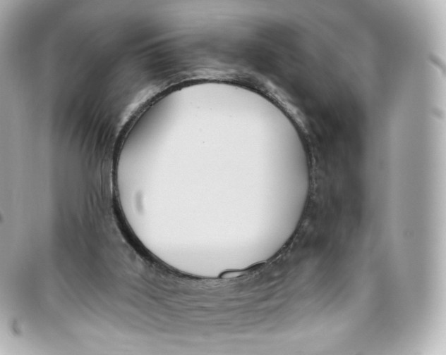 X0000095900011200802011138