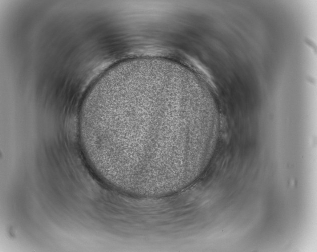 X0000095900012200802011138