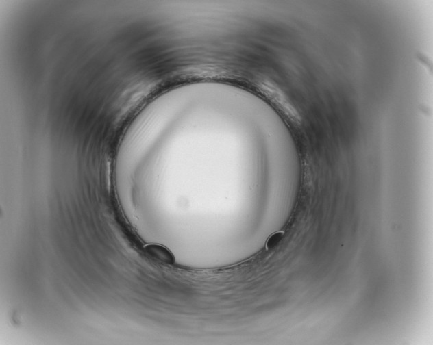 X0000095900014200802011138