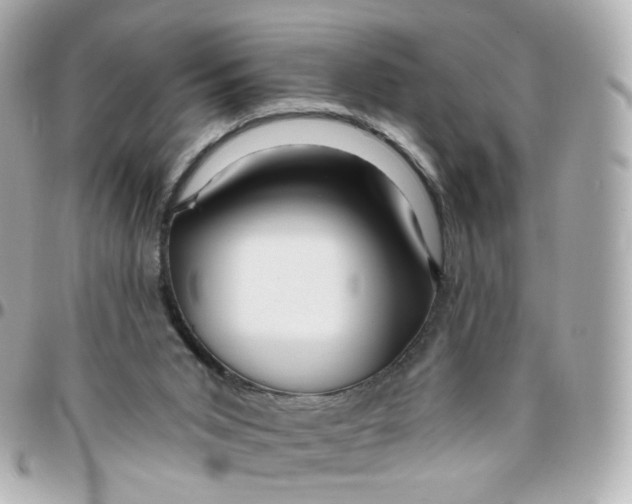 X0000095900015200802011138