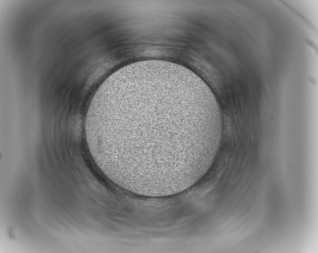 X0000095900016200802011138