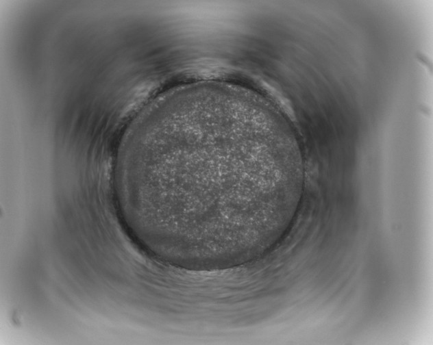 X0000095900018200802011138