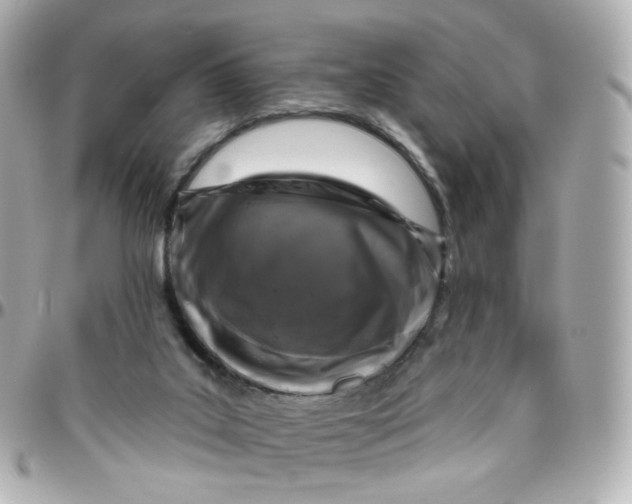 X0000095900019200802011138