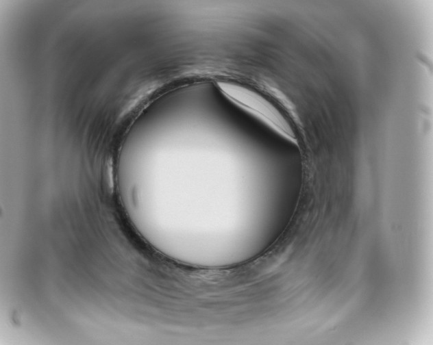 X0000095900020200802011138