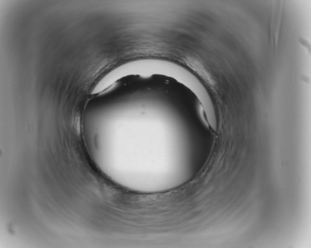 X0000095900021200802011138