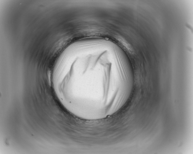 X0000095900022200802011138