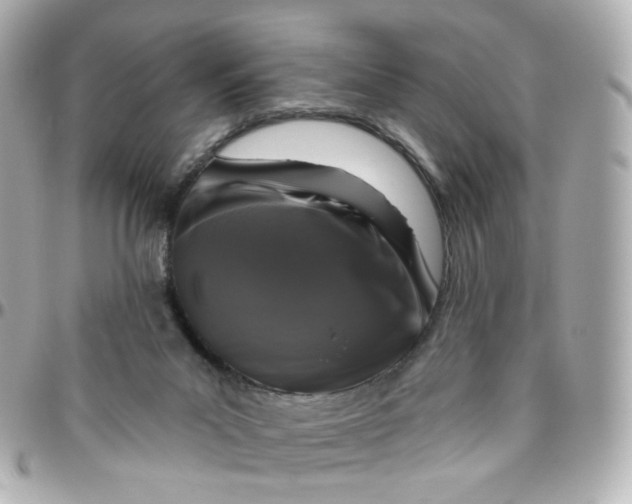 X0000095900023200802011138