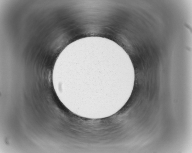 X0000095900024200802011138