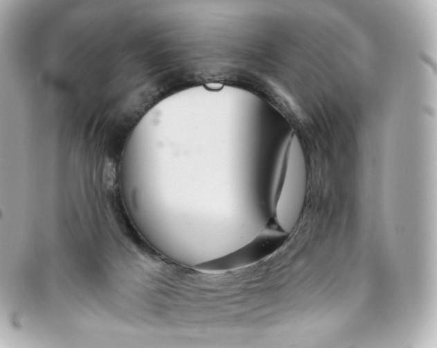 X0000095900025200802011138