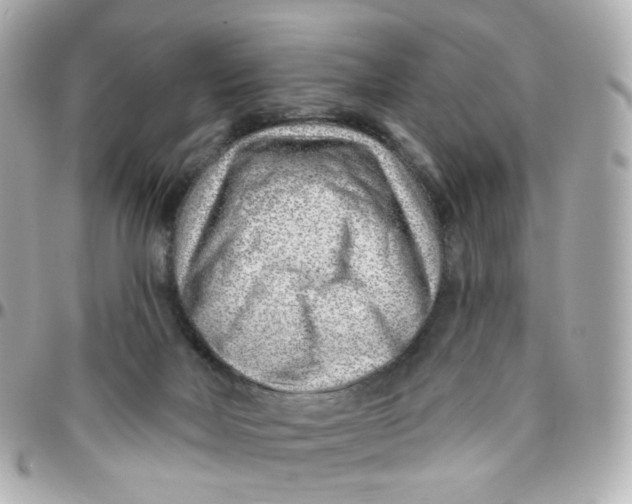 X0000095900026200802011138