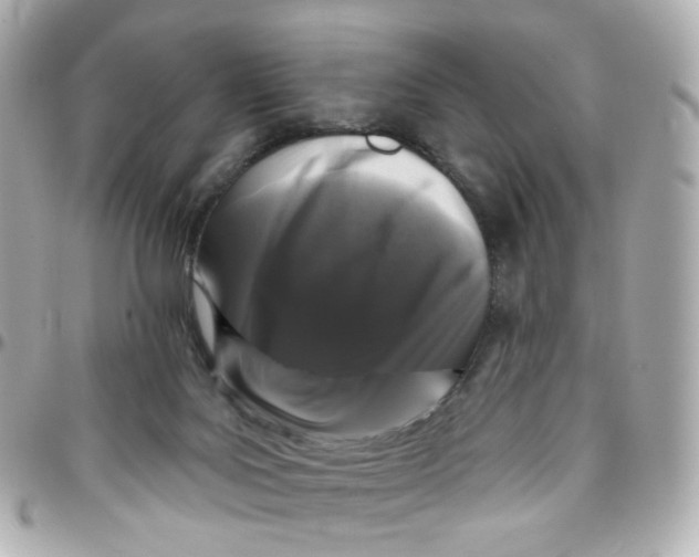 X0000095900027200802011138