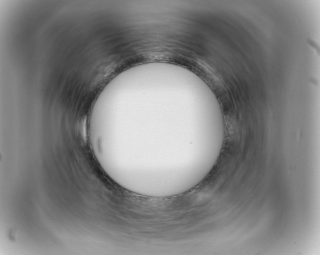 X0000095900028200802011138