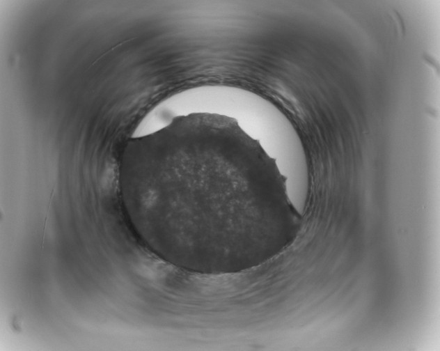 X0000095900029200802011138