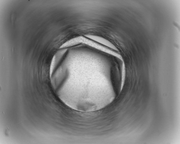 X0000095900030200802011138