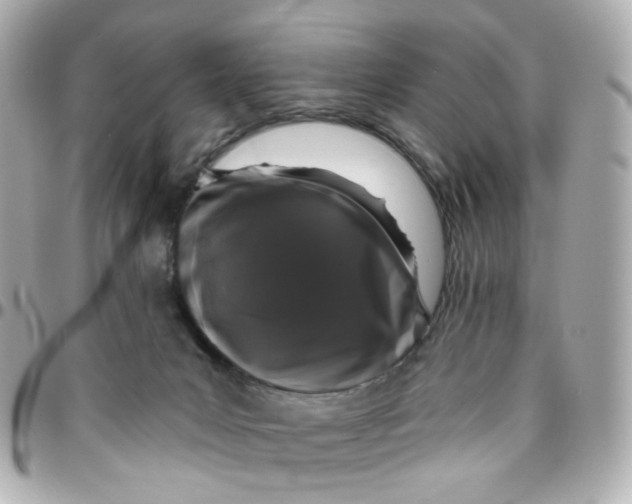 X0000095900031200802011138