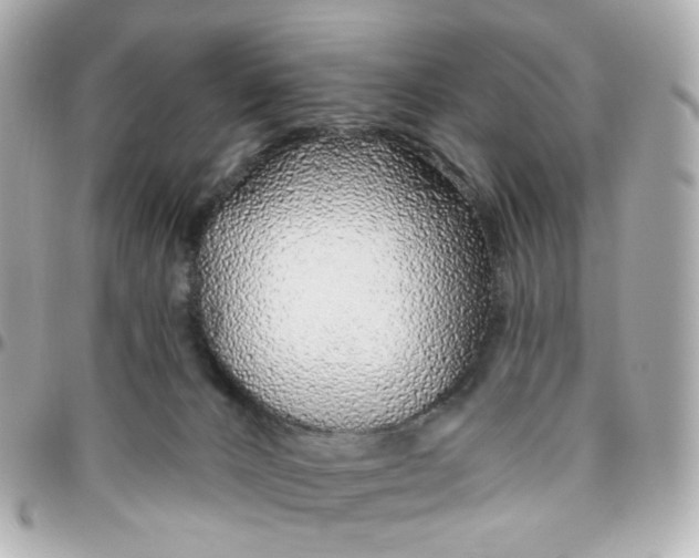 X0000095900032200802011138