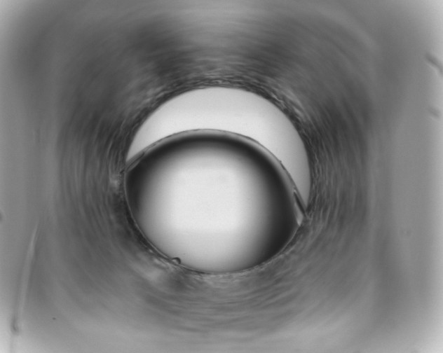 X0000095900033200802011138