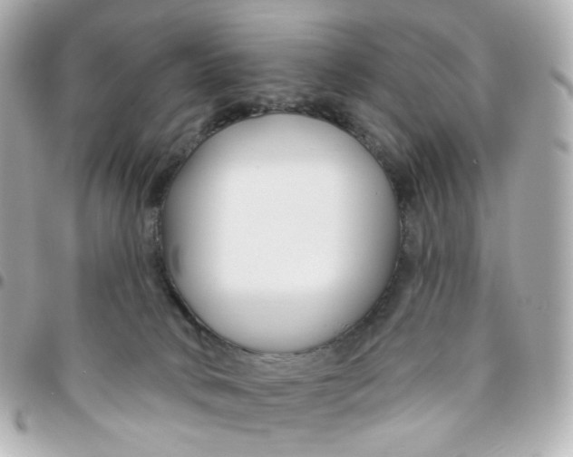 X0000095900034200802011138