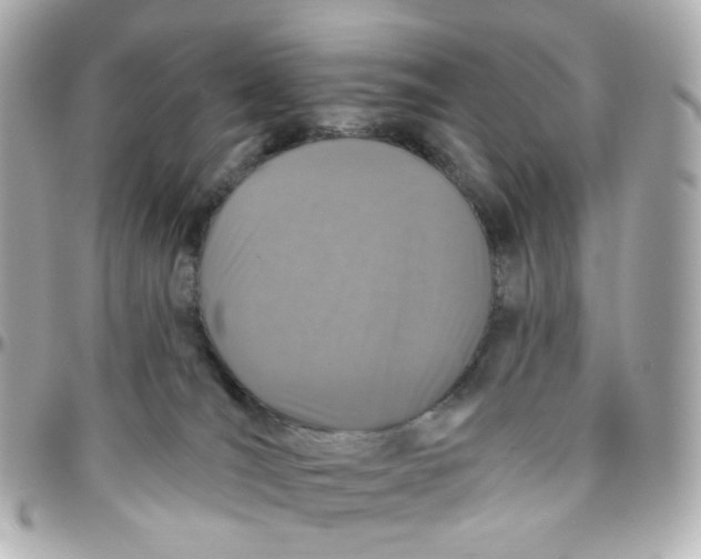 X0000095900036200802011138