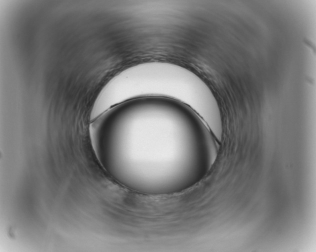 X0000095900037200802011138