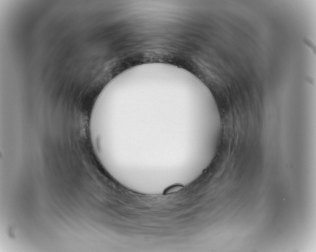 X0000095900038200802011138