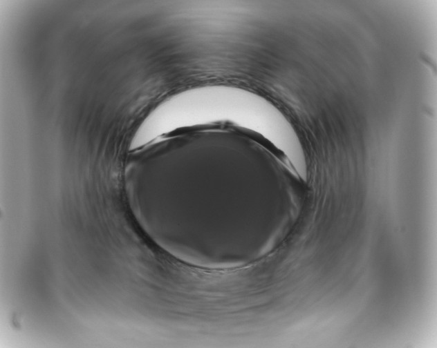 X0000095900039200802011138