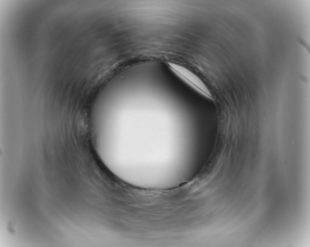 X0000095900040200802011138