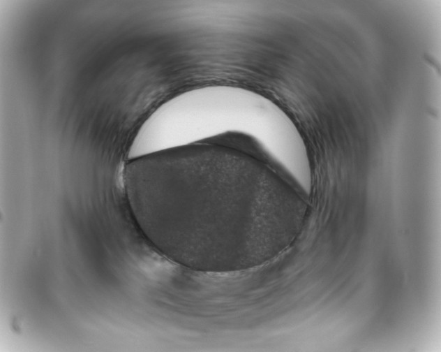 X0000095900041200802011138