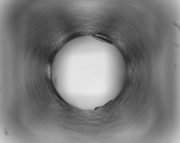 X0000095900042200802011138