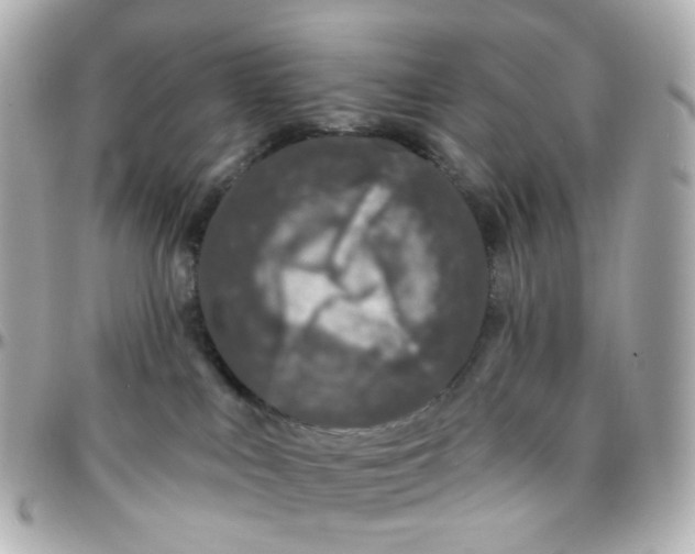 X0000095900043200802011138