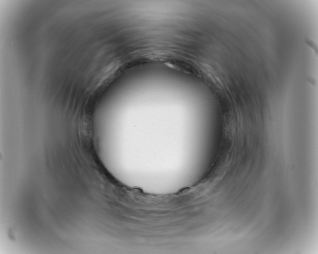 X0000095900044200802011138