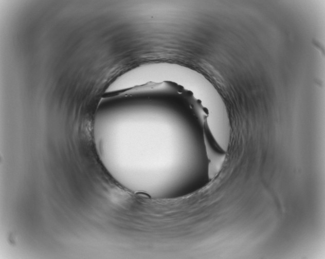 X0000095900045200802011138