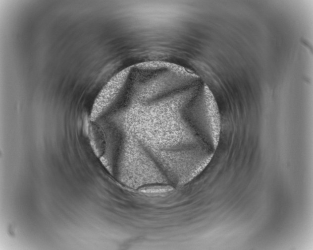 X0000095900046200802011138