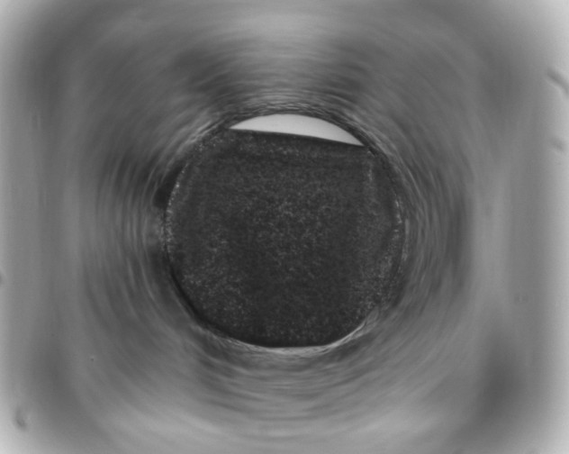 X0000095900048200802011138