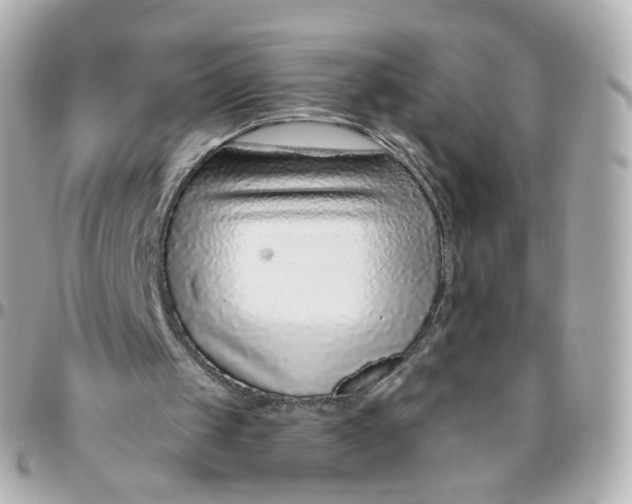 X0000095900049200802011137