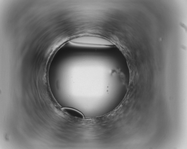 X0000095900050200802011137