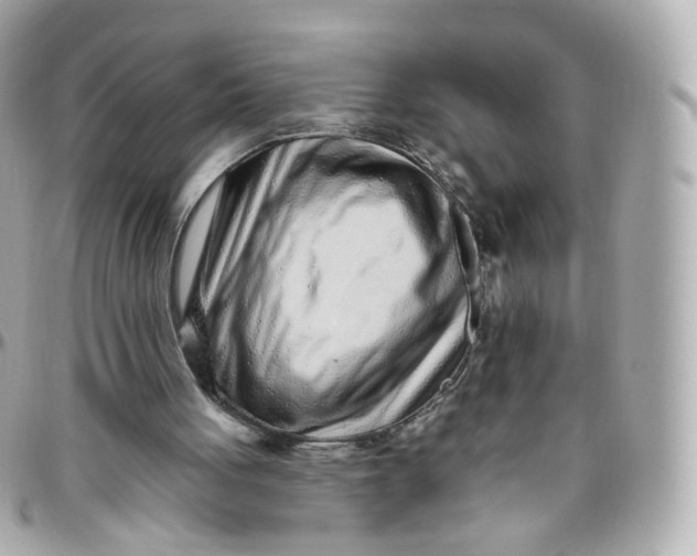 X0000095900051200802011137