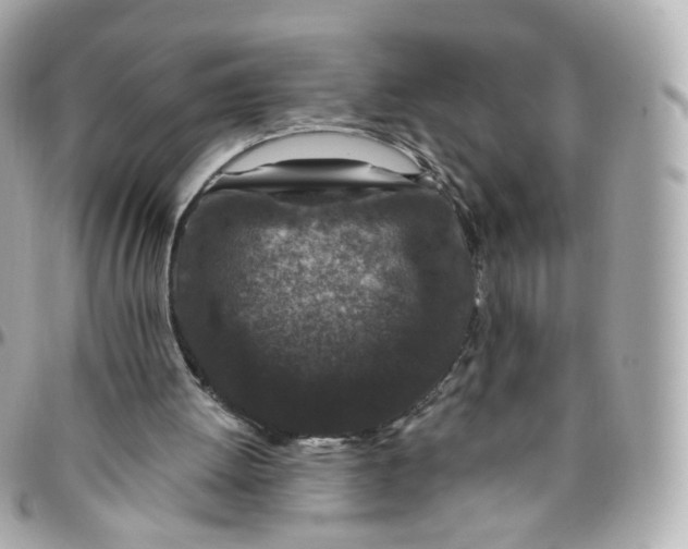 X0000095900052200802011137