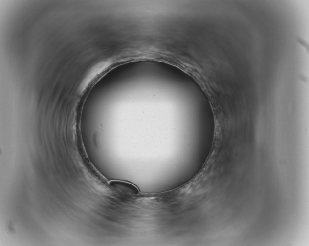 X0000095900054200802011137