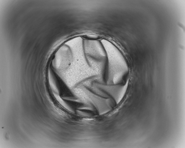 X0000095900055200802011137