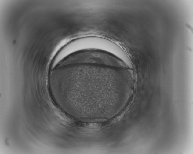 X0000095900056200802011137