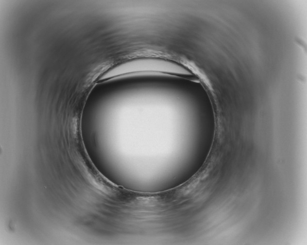 X0000095900057200802011137