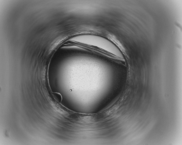 X0000095900058200802011137