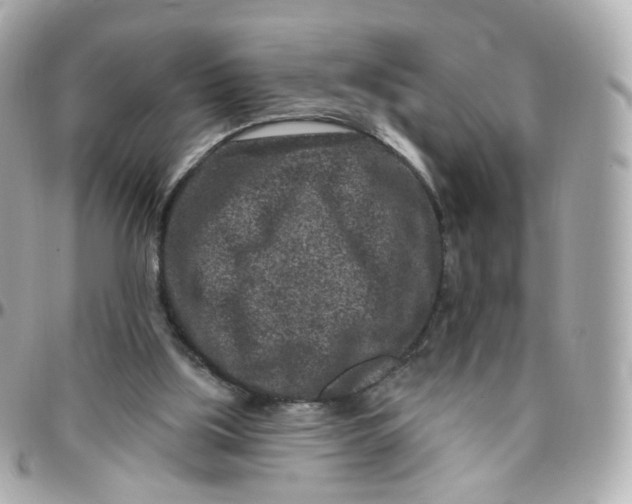 X0000095900059200802011137