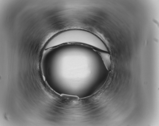 X0000095900060200802011137